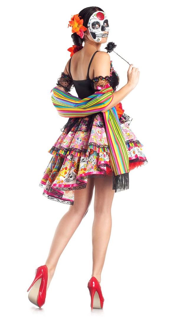 Day Of The Dead Dia De Los Muertos Adult Womens Sexy Costume Mexico Skeleton Ebay 3343