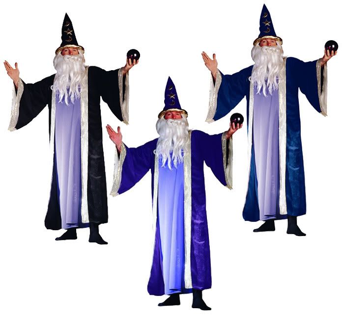 Wizard Adult Costume Merlin The Magician Renaissance Medieval Robe Plus 80113 Ebay 