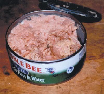 alimentacion alimentacion