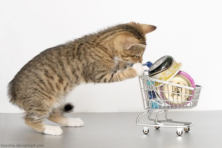 Con que alimentas a tu gato? Con que alimentas a tu gato?