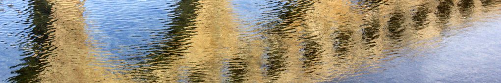 http://i1136.photobucket.com/albums/n483/micou3/IMG_5333copie_zpscc80294a.jpg