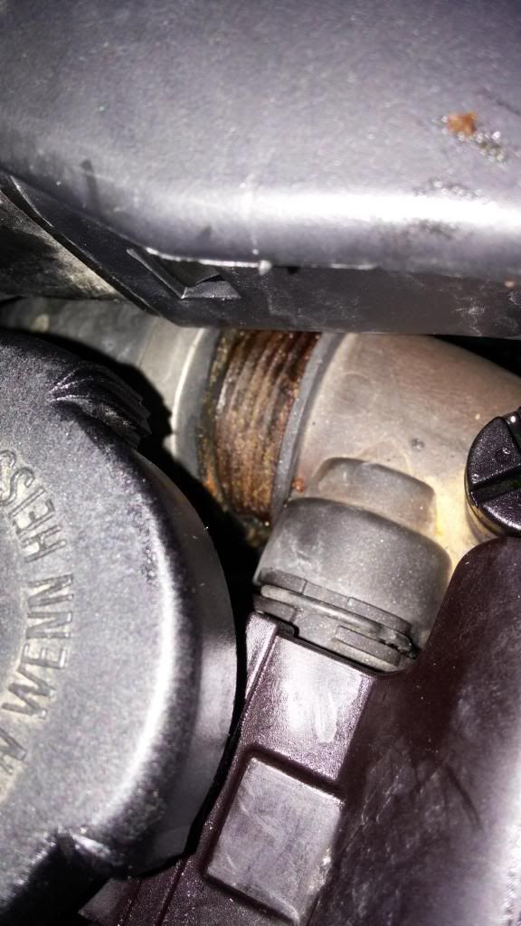 Losing a lot of coolant today...expansion tank leak or hoses? (lots of