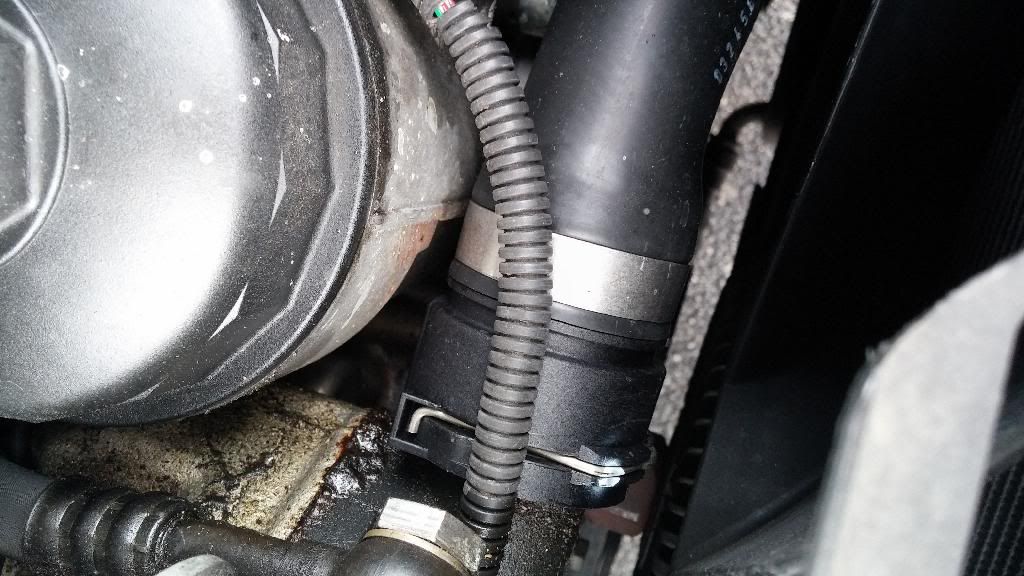 Losing a lot of coolant today...expansion tank leak or hoses? (lots of
