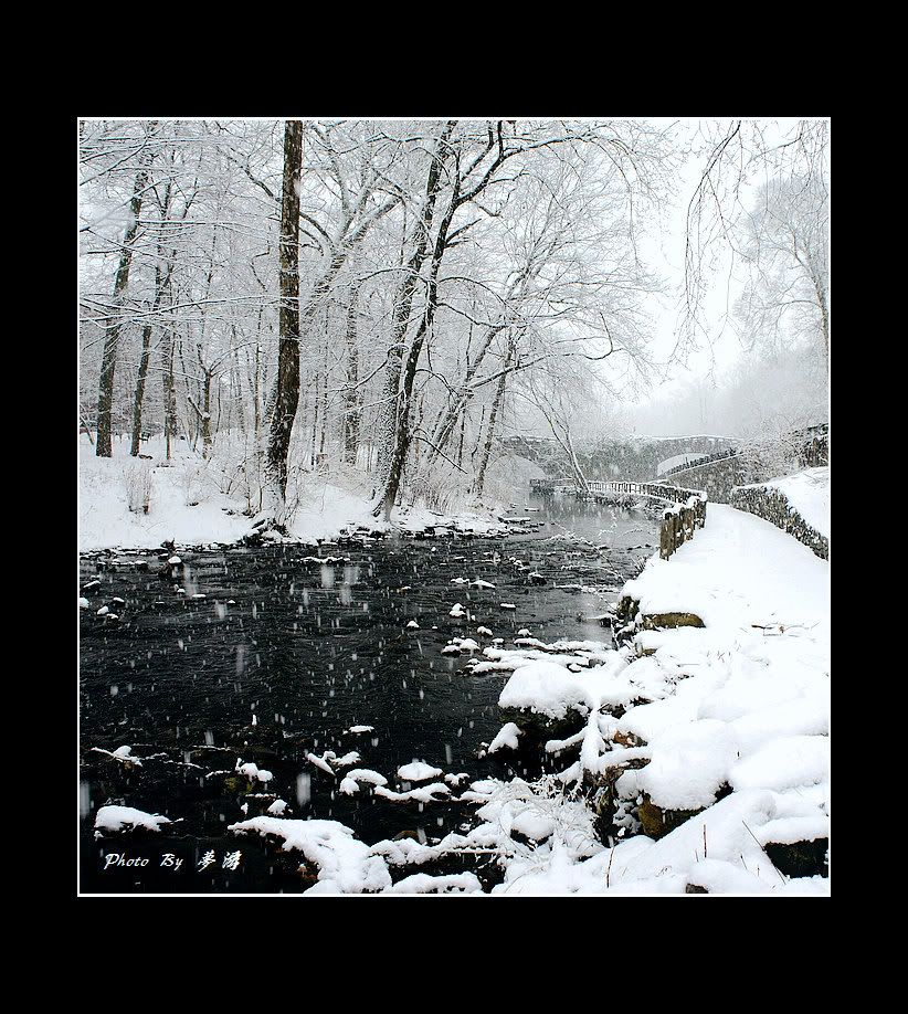 [原创摄影] 2011雪景15P_图1-3