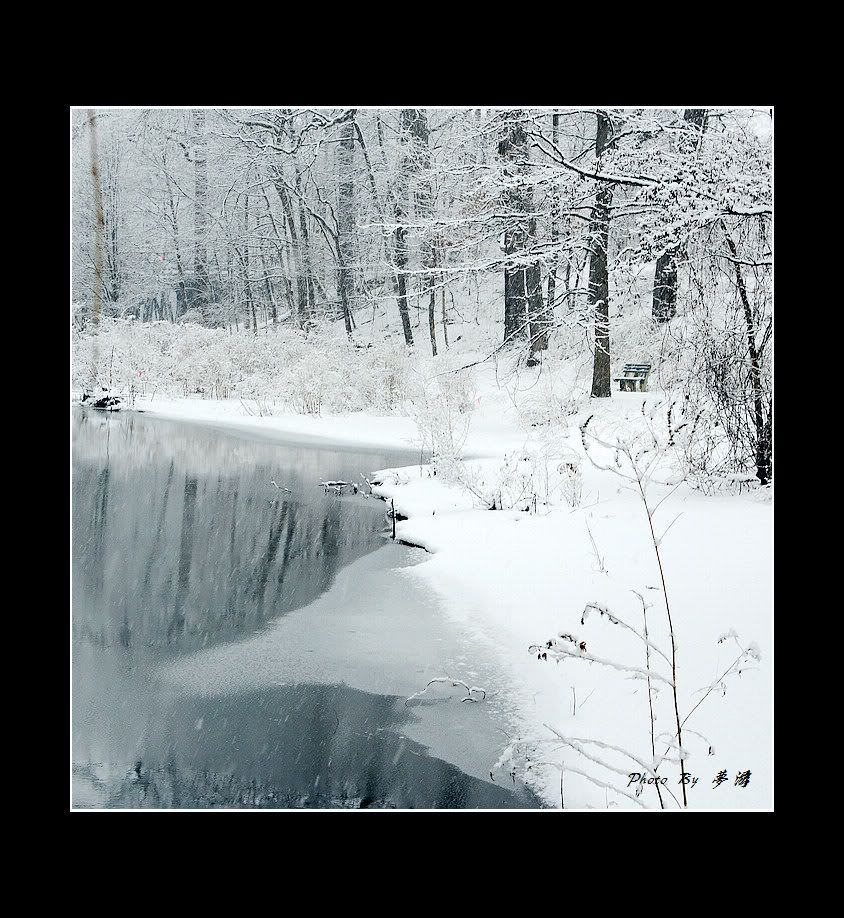 [原创摄影] 2011雪景15P_图1-5