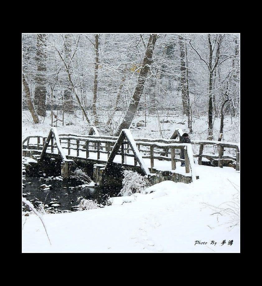 [原创摄影] 2011雪景15P_图1-7