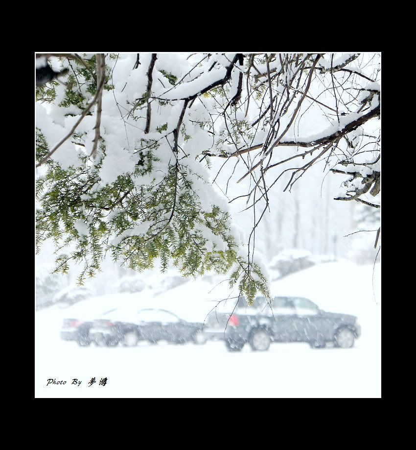 [原创摄影] 2011雪景15P_图1-14