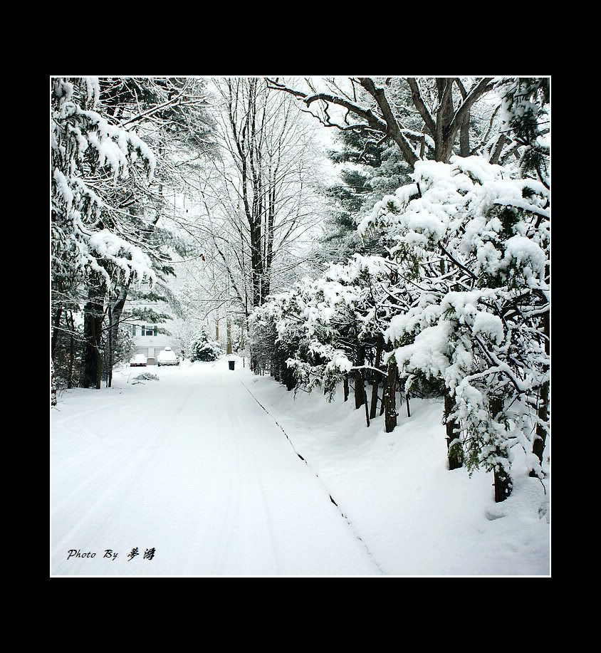 [原创摄影] 2011雪景15P_图1-16