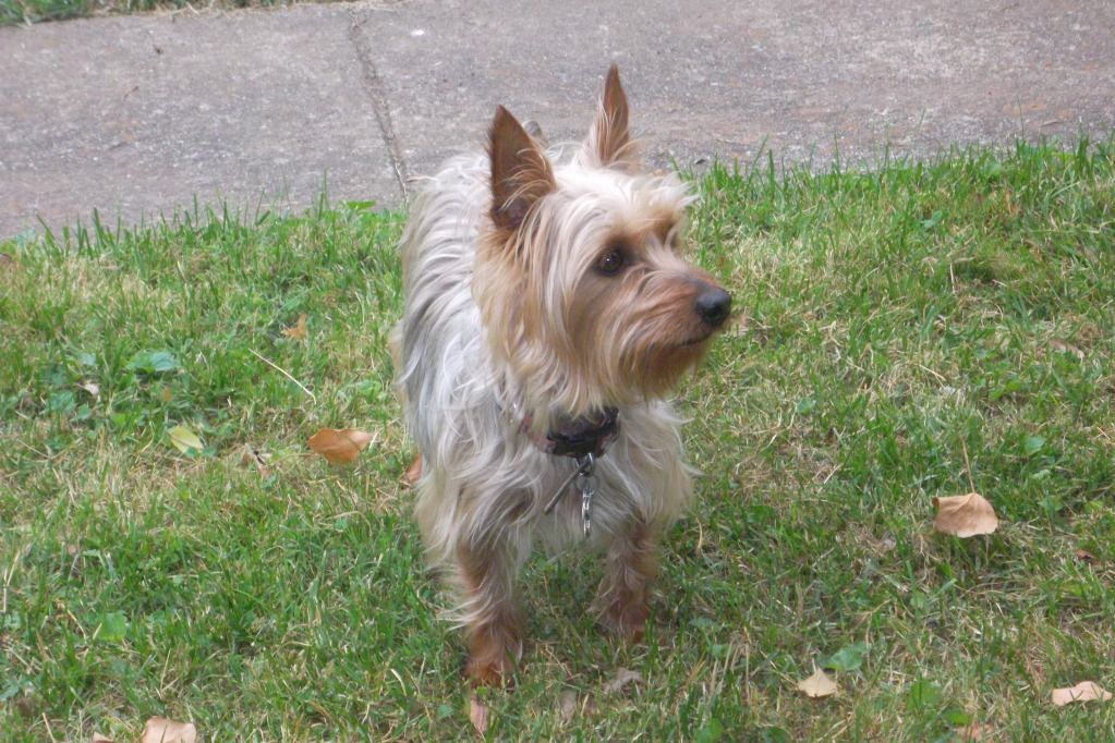 Harley   May 30, 2012