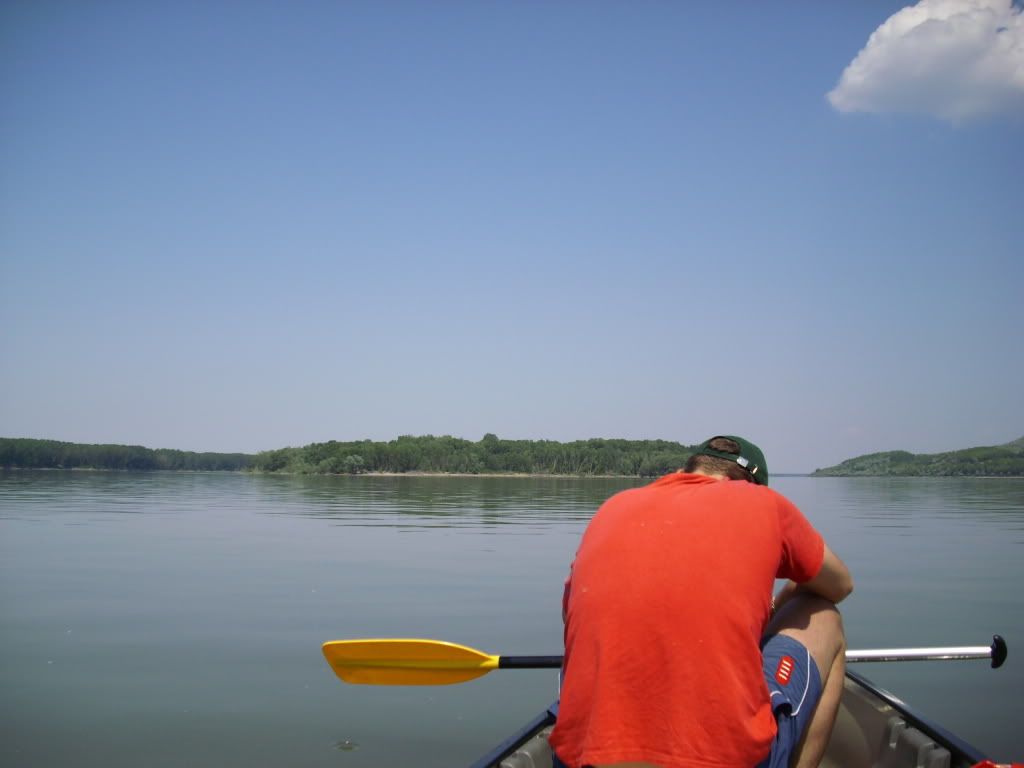 IMG_1029.jpg