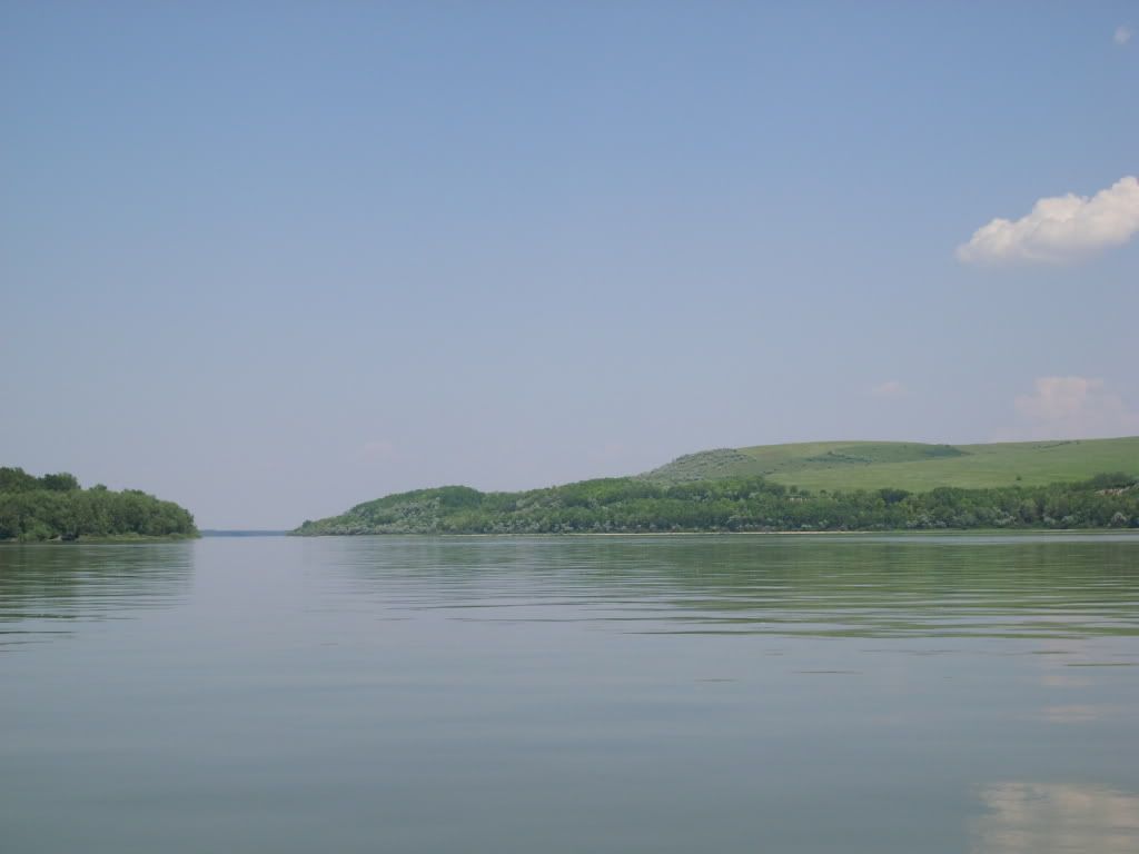 IMG_1032.jpg