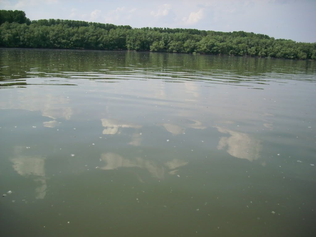 IMG_1051.jpg