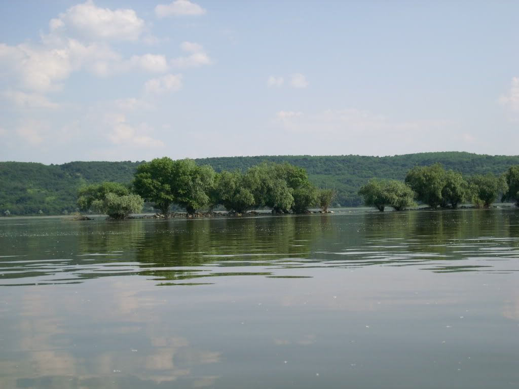 IMG_1075.jpg