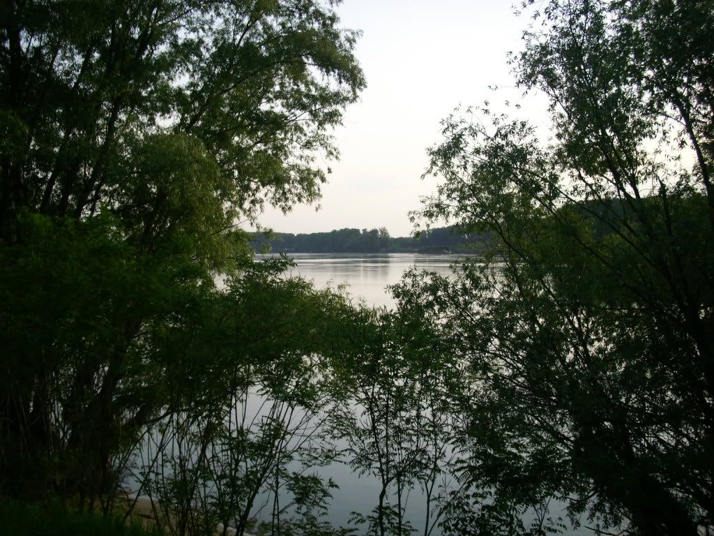 IMG_1080.jpg