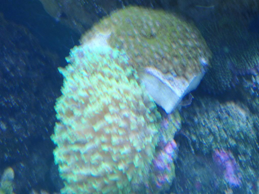 P3150088.jpg