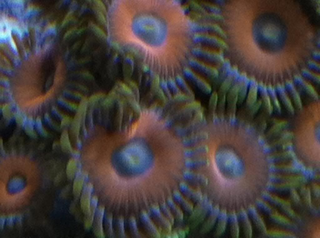 photo25.jpg