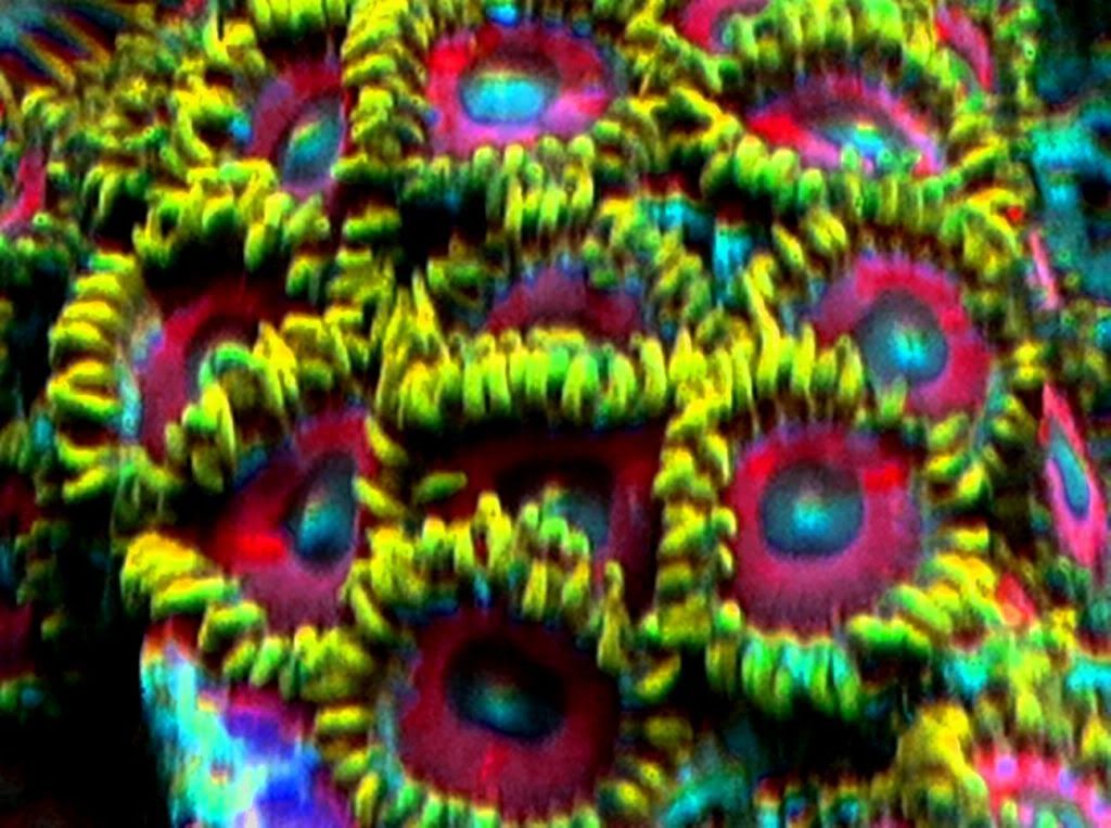 photomixed.jpg