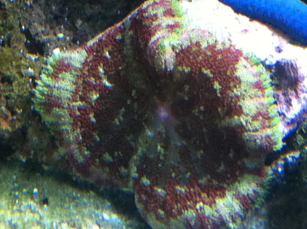 photo13.jpg