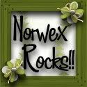 Norwex Rocks