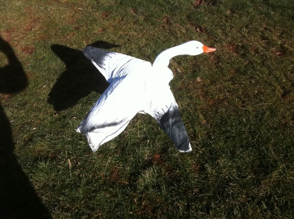 FS/FT Snow goose decoys and accesories