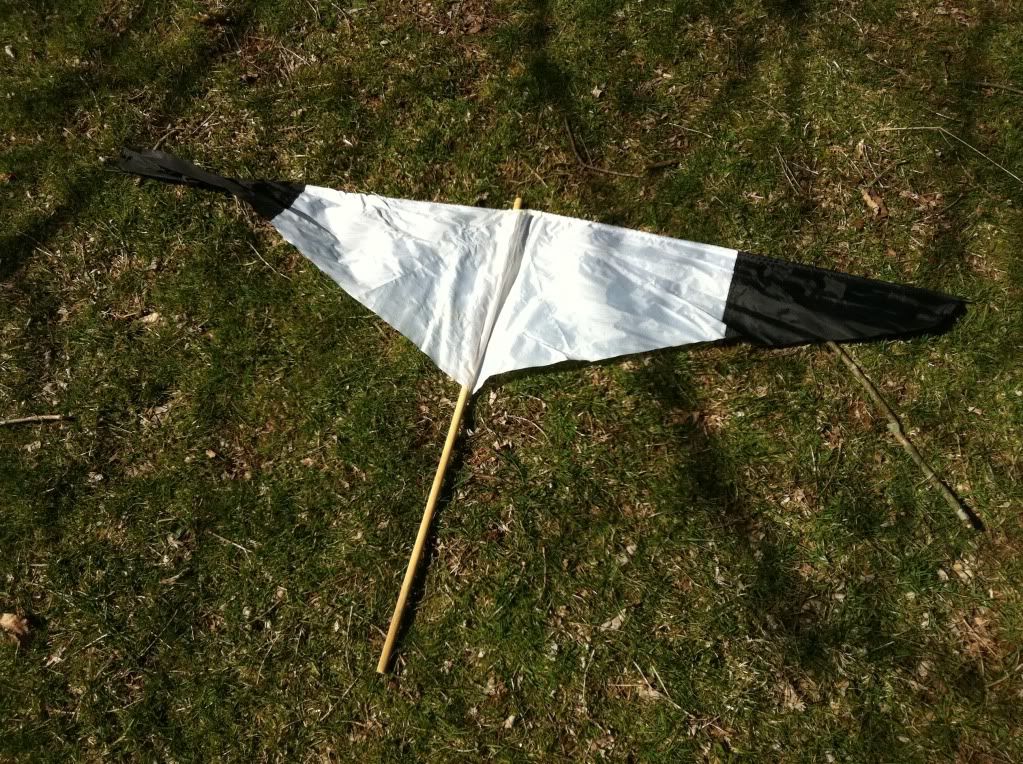 FS/FT Snow goose decoys and accesories