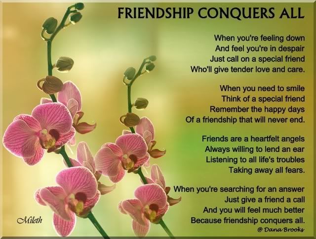 Friendship conquers all Pictures, Images and Photos