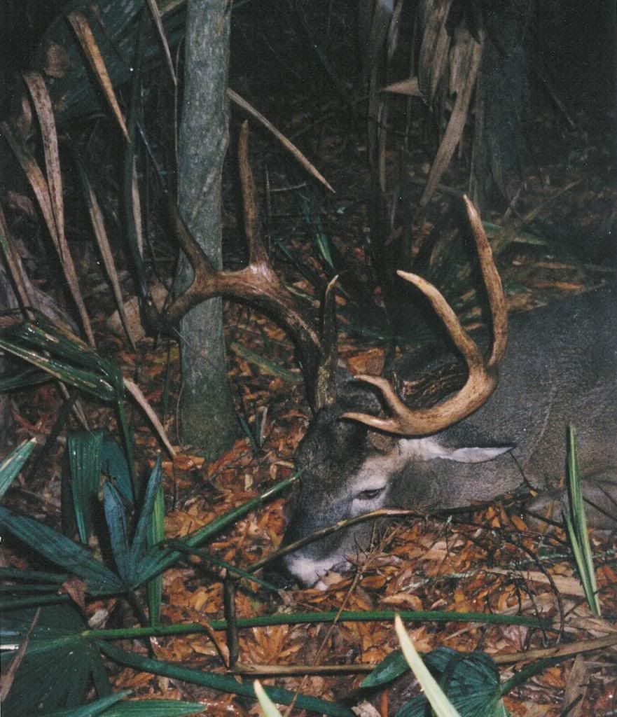 Is it too early for our annual discussion? Page 2 Mississippi