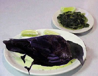 eating_crow.jpg