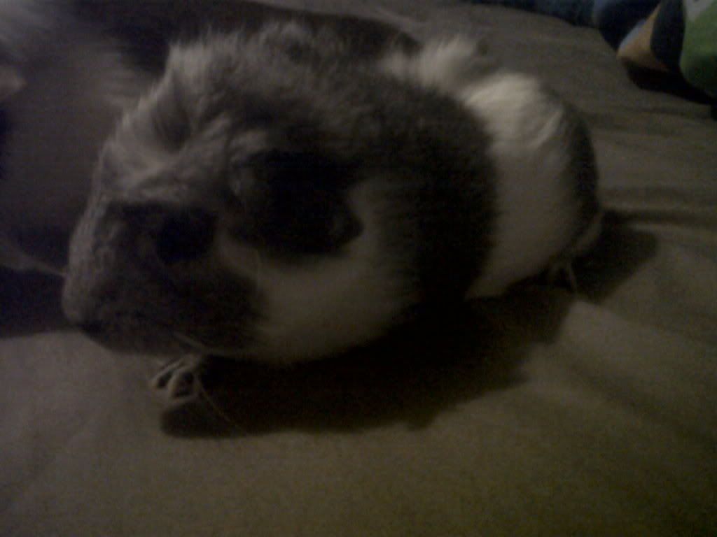 IMG00547-20110410-1959.jpg