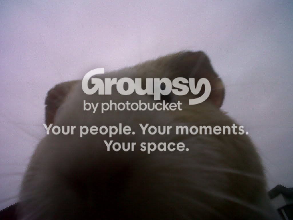 IMG00580-20110413-1936.jpg