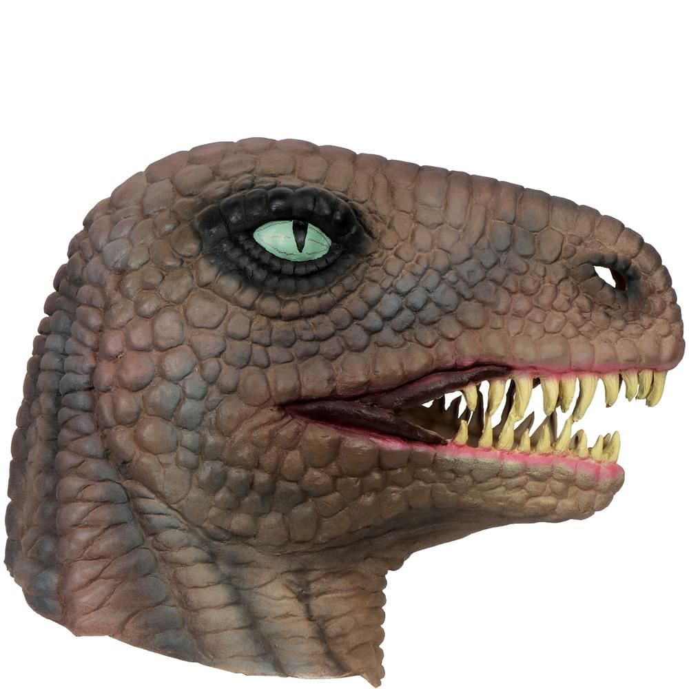 Image result for lizard dinosaur