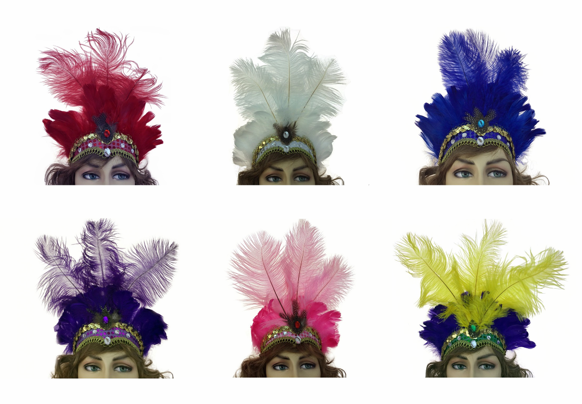 Showgirl Burlesque Feather Headdress Saloon Can Can Samba Girl Costume