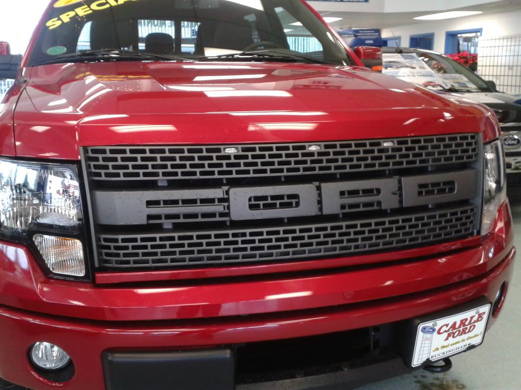 Ford raptor hood and grille #8