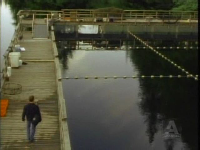 FirstWave-1x7-Lungfishaviavi_001406488.jpg