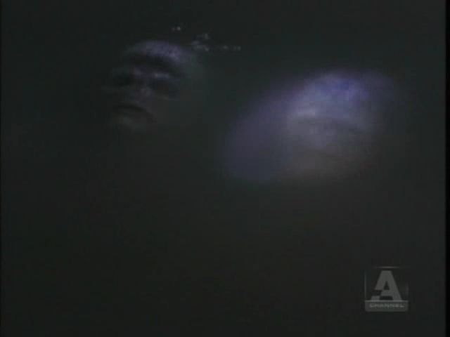 FirstWave-1x7-Lungfishaviavi_002112860.jpg