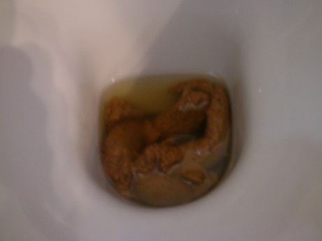 IMAG0011.jpg