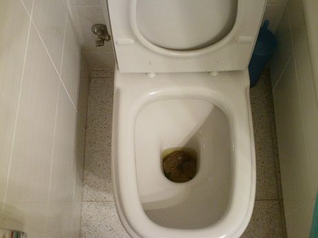 IMAG0064.jpg