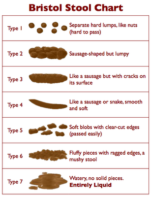 bristol_stool_chart-2.png