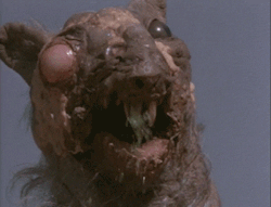  photo tumblr_odhjce1zJd1umk4ogo1_250.gif