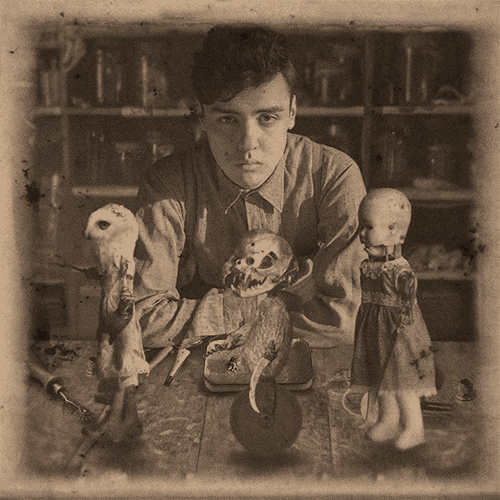  photo tumblr_oe5umjLYXg1vh0lrao1_500.gif