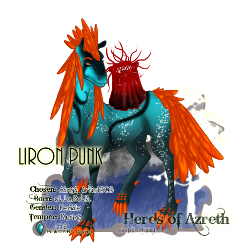 User Image