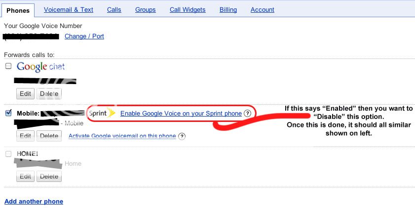 google voice text
